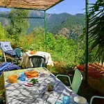 Apartman Cabanaccia 3 Pieces 6 Pers-2 By Interhome Serriera