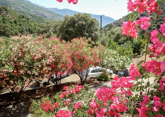 Cabanaccia 3 Pieces 6 Pers-2 By Interhome Apartmán